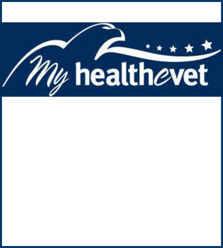 My HealtheVet Program Management and Training Support